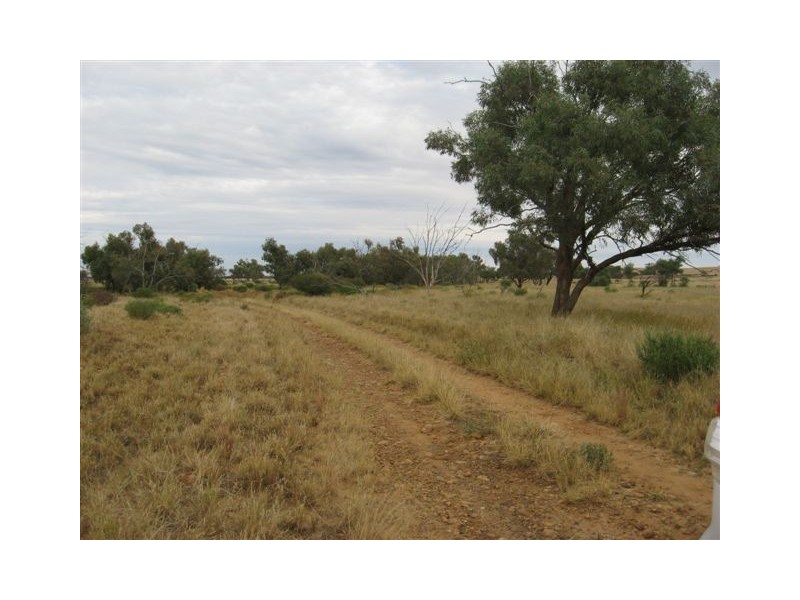 ” Onepah”, Tibooburra NSW 2880