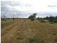” Onepah”, Tibooburra NSW 2880
