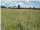 ‘ FAIRFIELD’, Jackson QLD 4426
