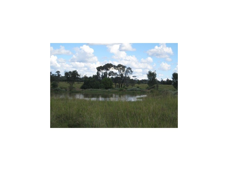 ‘ FAIRFIELD’, Jackson QLD 4426