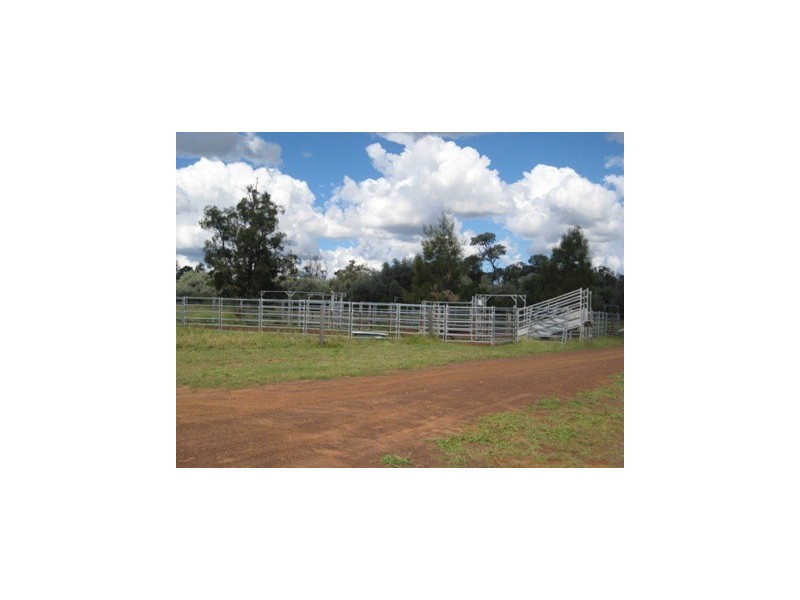 ‘ FAIRFIELD’, Jackson QLD 4426