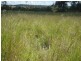 ‘ FAIRFIELD’, Jackson QLD 4426
