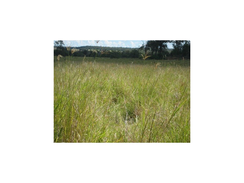 ‘ FAIRFIELD’, Jackson QLD 4426