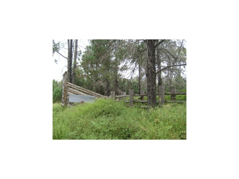 BOONDOONDILLA ROAD, Millmerran QLD 4357