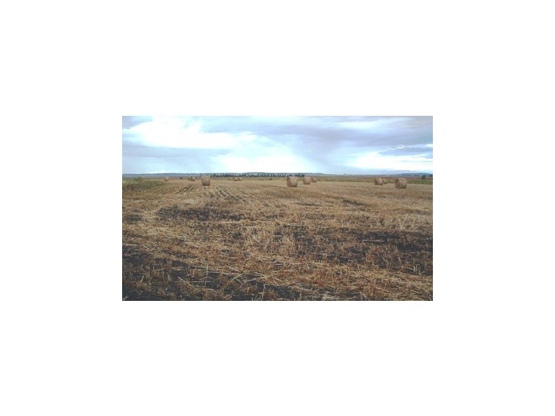 MOOLA ROAD, Bowenville QLD 4404