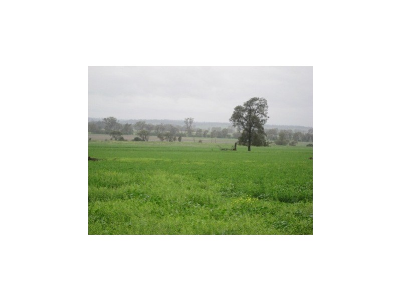 Jondaryan QLD 4403