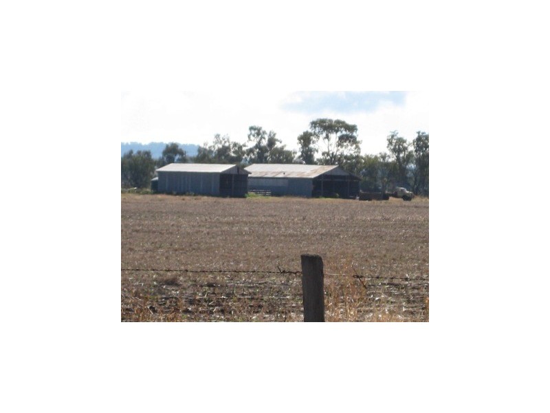 Dalby QLD 4405