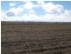 Dalby QLD 4405
