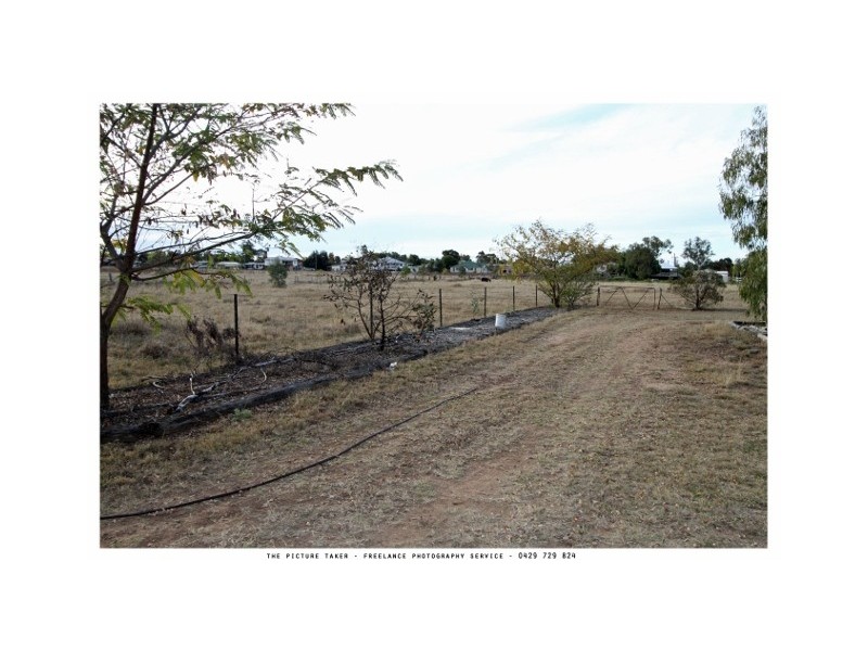 98 CORFE ROAD, Roma QLD 4455