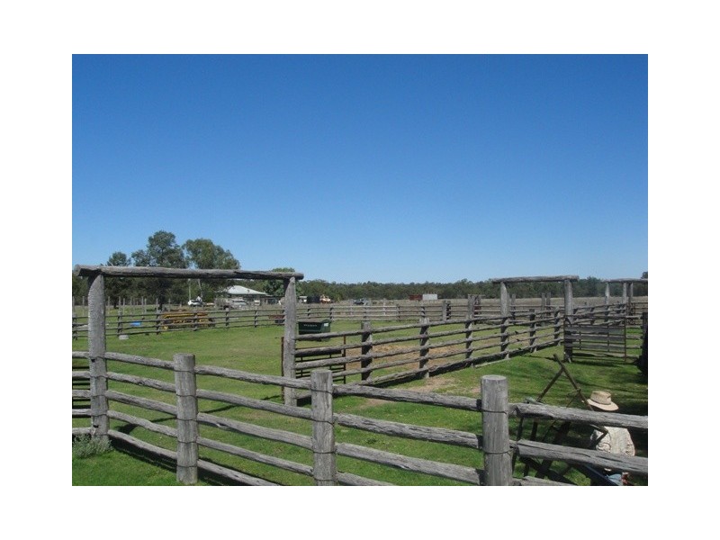 Miles QLD 4415