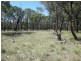 Miles QLD 4415