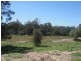 Miles QLD 4415