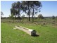 Miles QLD 4415