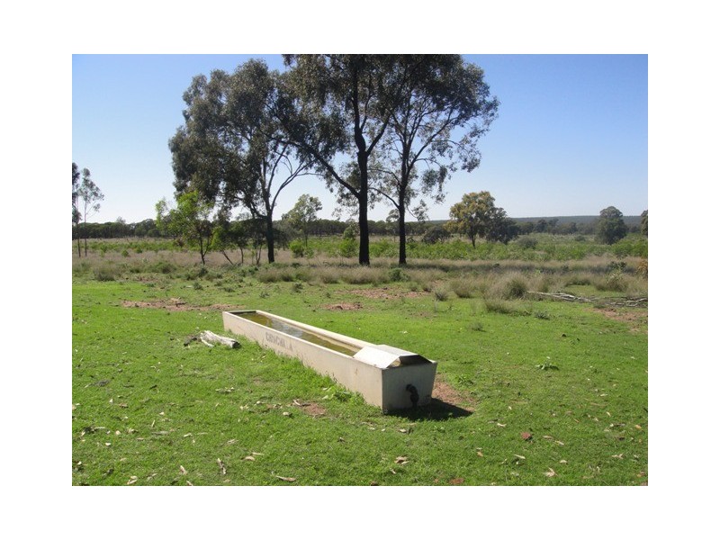 Miles QLD 4415