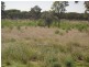 Miles QLD 4415
