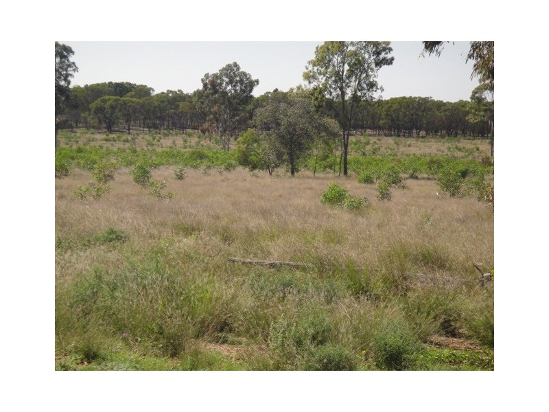 Miles QLD 4415
