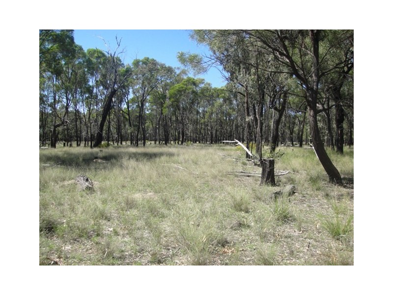 Miles QLD 4415