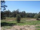 Miles QLD 4415