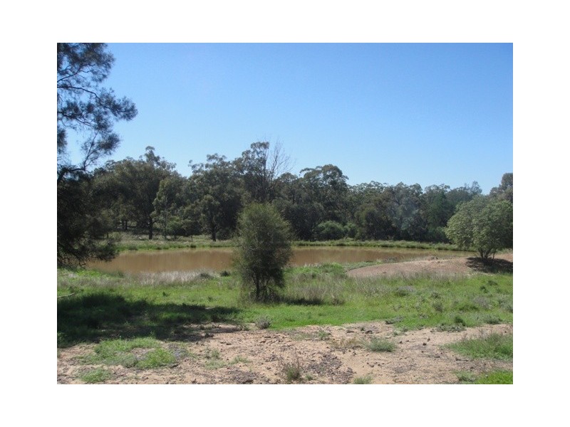 Miles QLD 4415