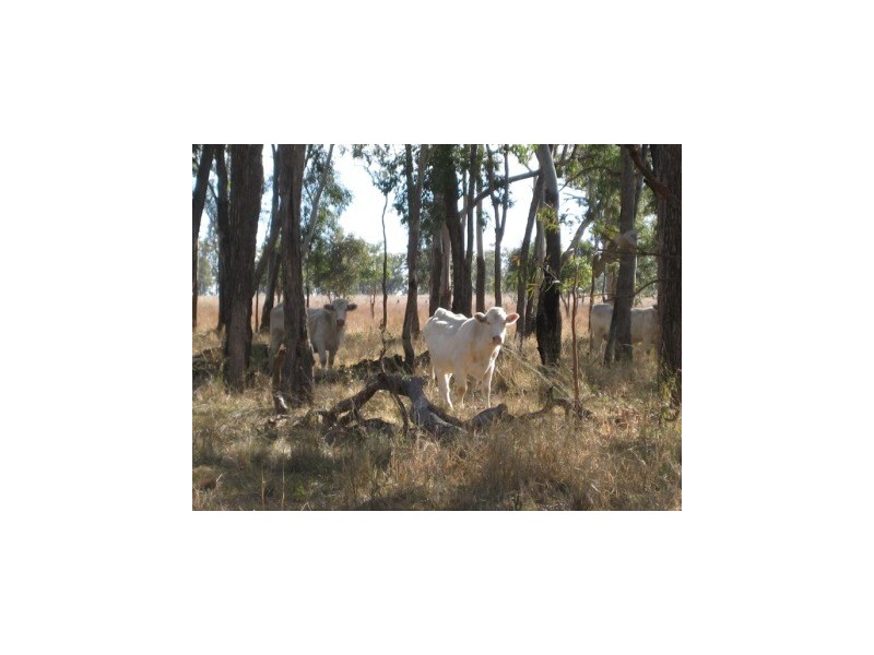 Millmerran QLD 4357