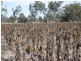 Millmerran QLD 4357