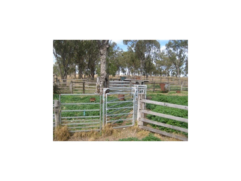 Millmerran QLD 4357