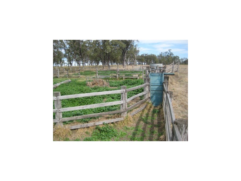 Millmerran QLD 4357