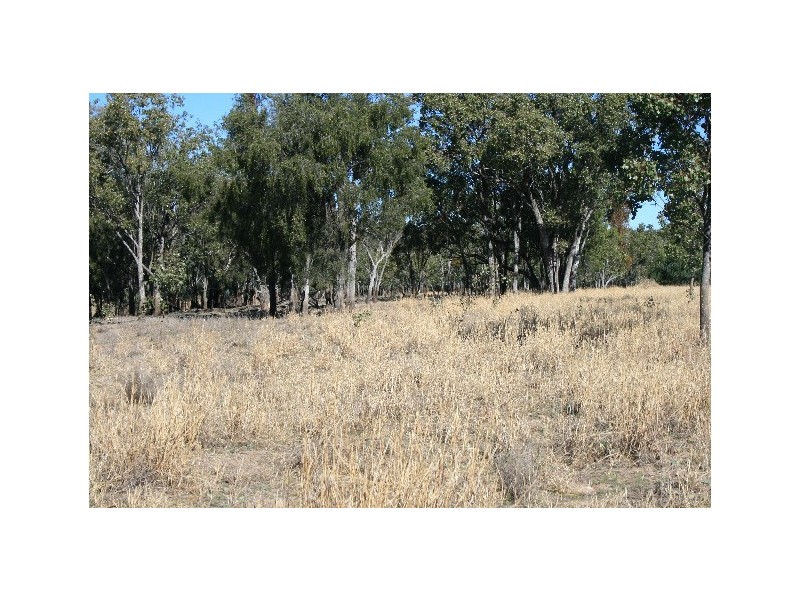 L14 REDMARLEY RD, Condamine QLD 4416