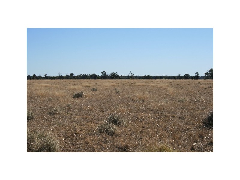 L14 REDMARLEY RD, Condamine QLD 4416