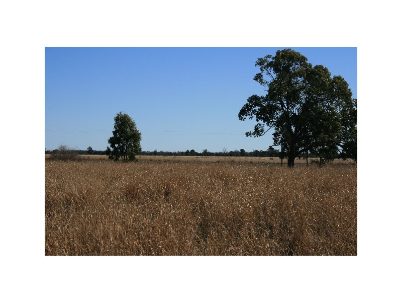 L14 REDMARLEY RD, Condamine QLD 4416