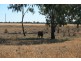 L14 REDMARLEY RD, Condamine QLD 4416