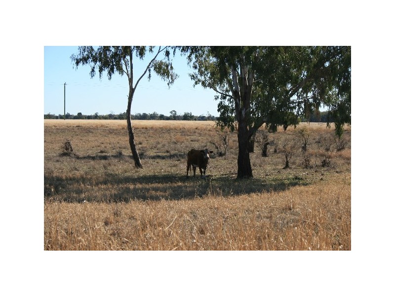 L14 REDMARLEY RD, Condamine QLD 4416