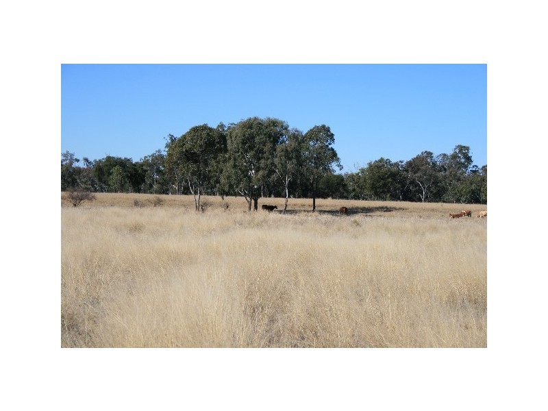 L14 REDMARLEY RD, Condamine QLD 4416