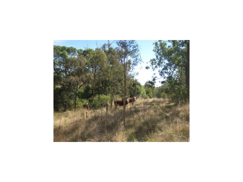 Cooyar QLD 4402