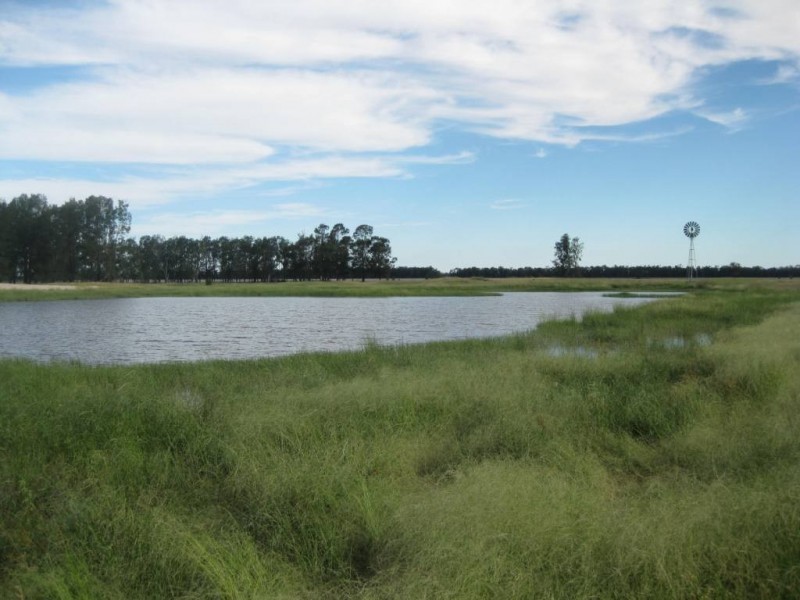 ” Tartha”, Moonie QLD 4406