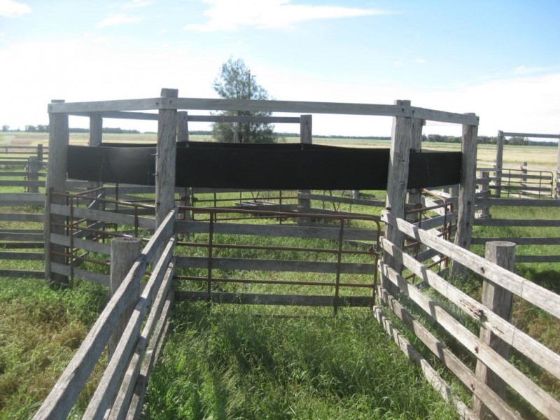 ” Tartha”, Moonie QLD 4406