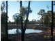 31447 WARREGO H’WAY, Miles QLD 4415