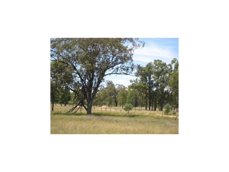 ” Kooringal “, Tara QLD 4421