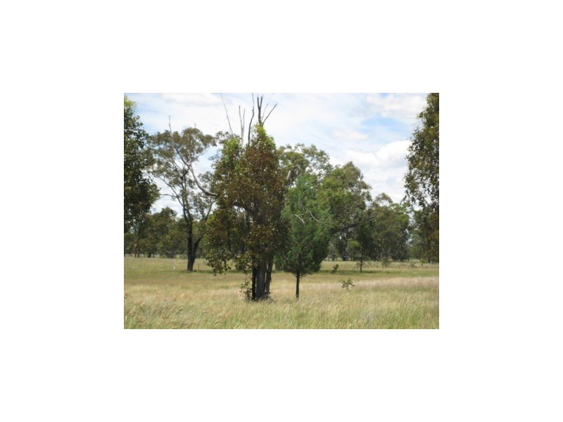 ” Kooringal “, Tara QLD 4421