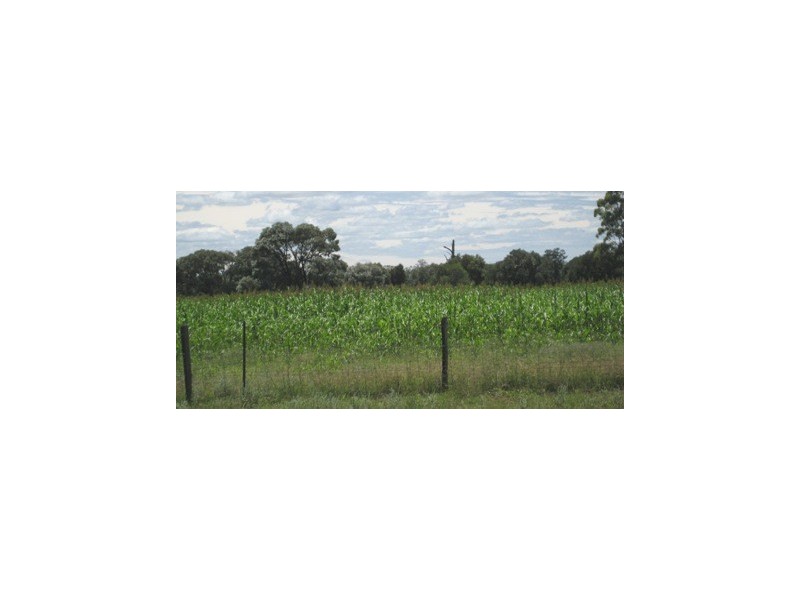 ” Kooringal “, Tara QLD 4421