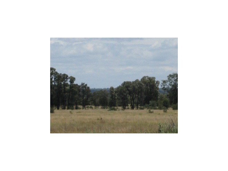 ” Kooringal “, Tara QLD 4421