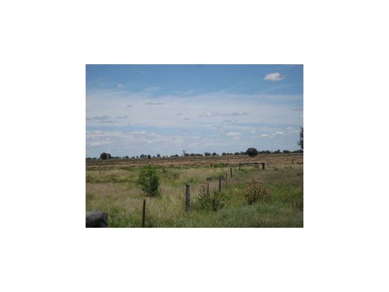 ” Kooringal “, Tara QLD 4421