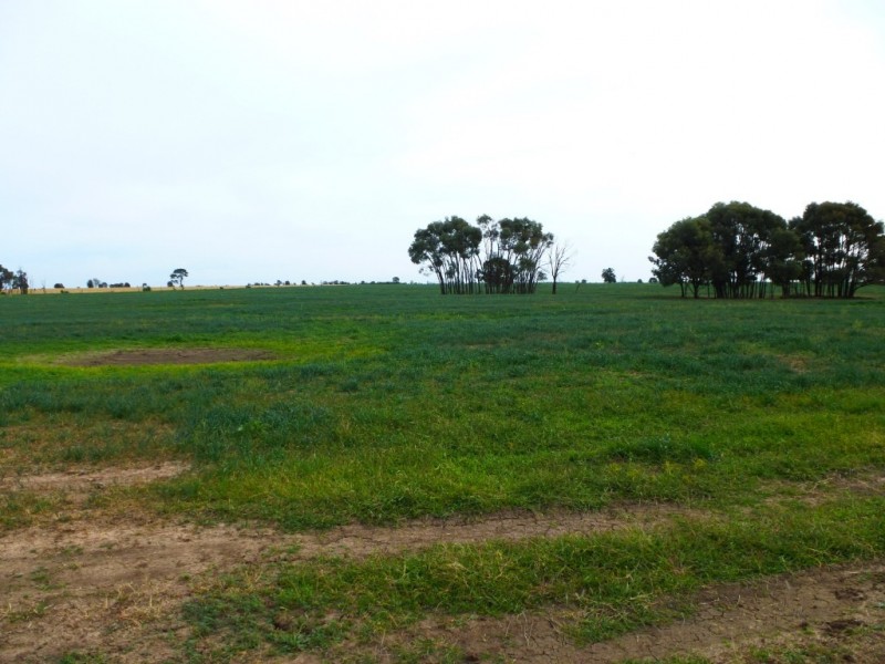 ” Kooringal “, Tara QLD 4421