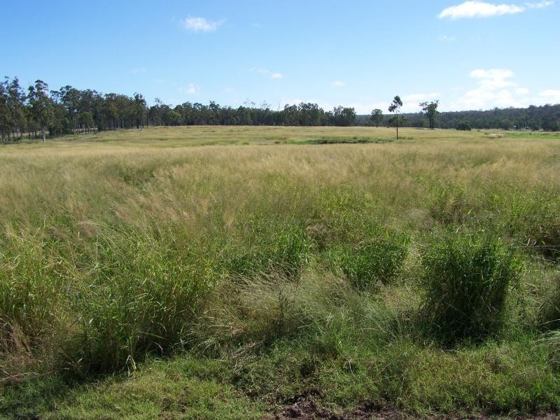 Miles QLD 4415