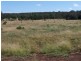 Miles QLD 4415