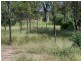 Miles QLD 4415