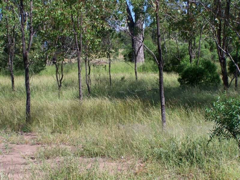 Miles QLD 4415