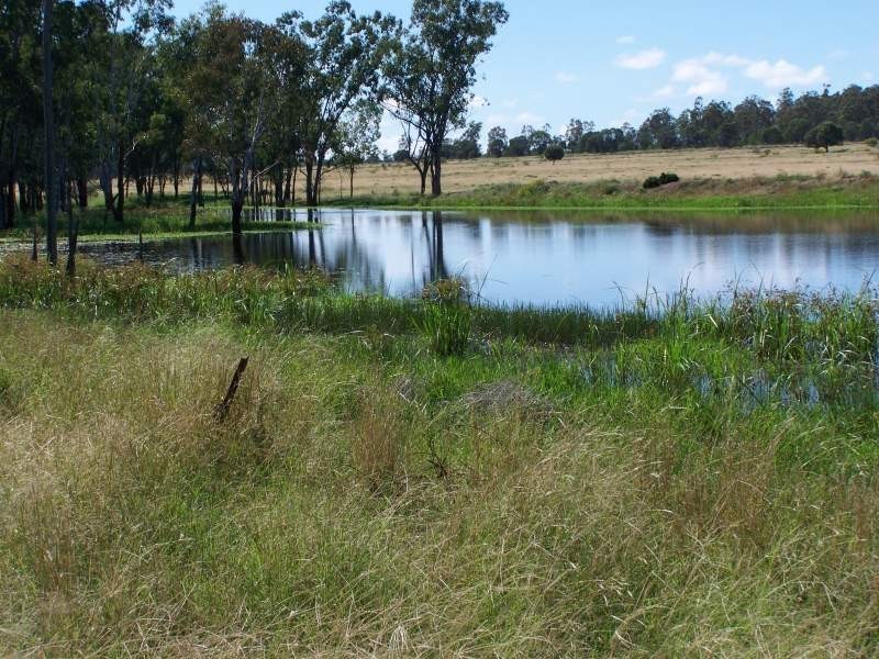 Miles QLD 4415