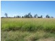 Miles QLD 4415
