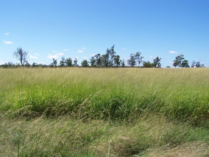 Miles QLD 4415